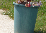 Rifiuti al cimitero