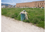 Rifiuti al cimitero