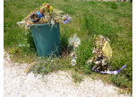 Rifiuti al cimitero