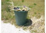 Rifiuti al cimitero