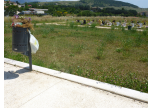 Rifiuti al cimitero