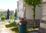 Rifiuti al cimitero