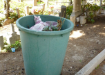 Rifiuti al cimitero