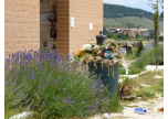 Rifiuti al cimitero