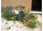 Rifiuti al cimitero