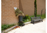 Rifiuti al cimitero