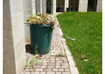 Rifiuti al cimitero