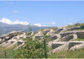 Area archeologica Forcona