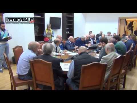 Commissione su randagismo a L'Aquila