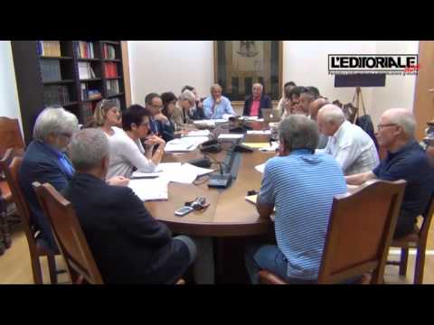 Commissione garanzia e controllo su Aeroporto dei Parchi